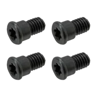 Hard Drive Mount Screws