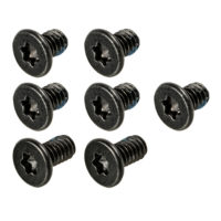 Logic Board Screws (Torx T6)