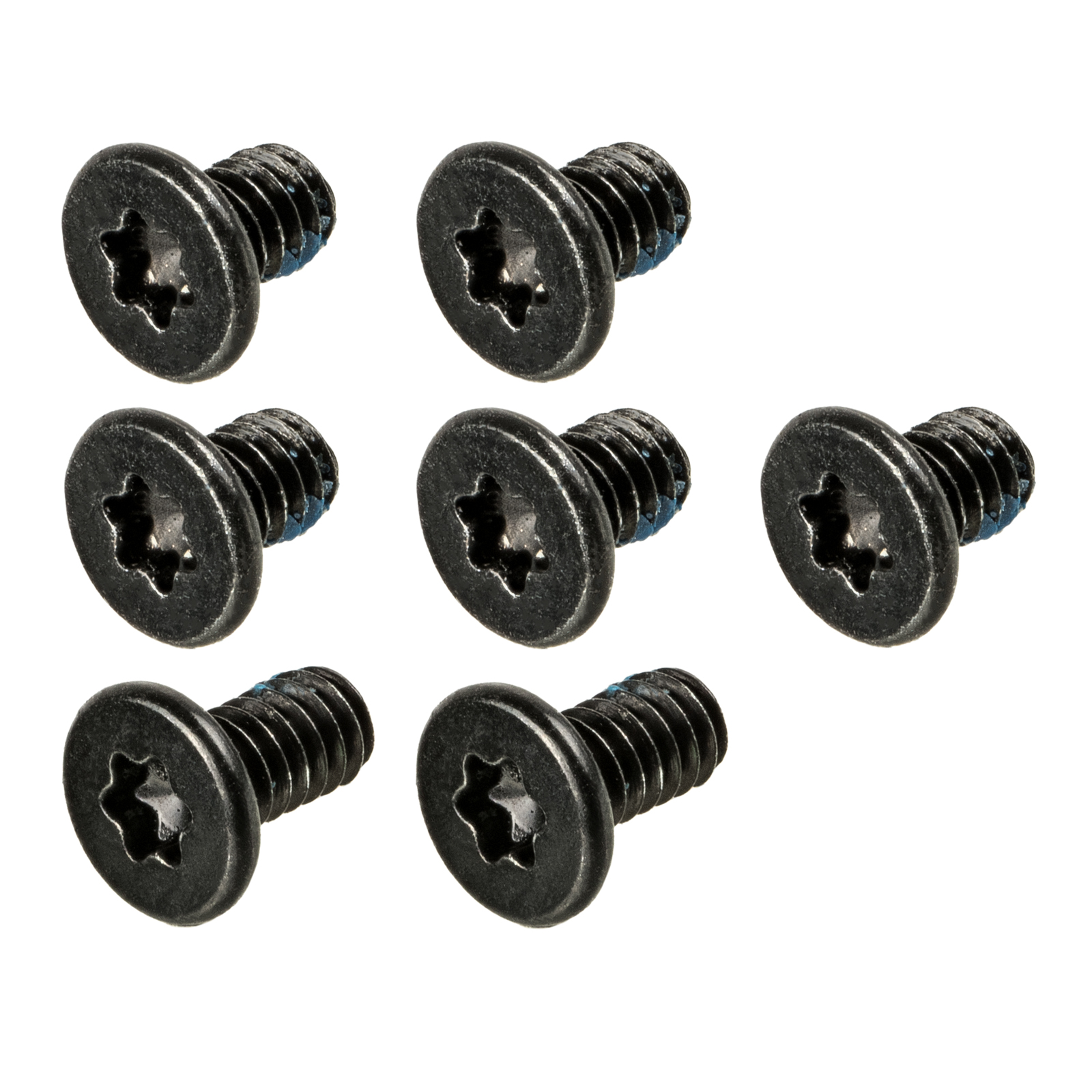 Logic Board Screws (Torx T6)