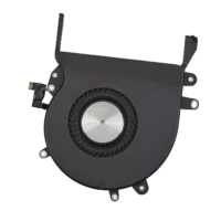 Fan, Right
