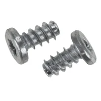 Hinge Cover Screws (Torx T10)
