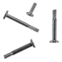 Power Supply Screws (Torx T10)