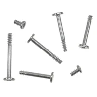 Logic Board Screws