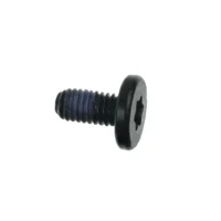 Hard Drive Cradle Screw
