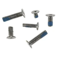 Display Hinge Clutch Block Screws