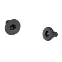 Speaker Screws