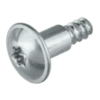 Speaker Screw