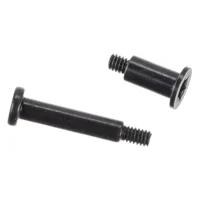 Logic Board Screws