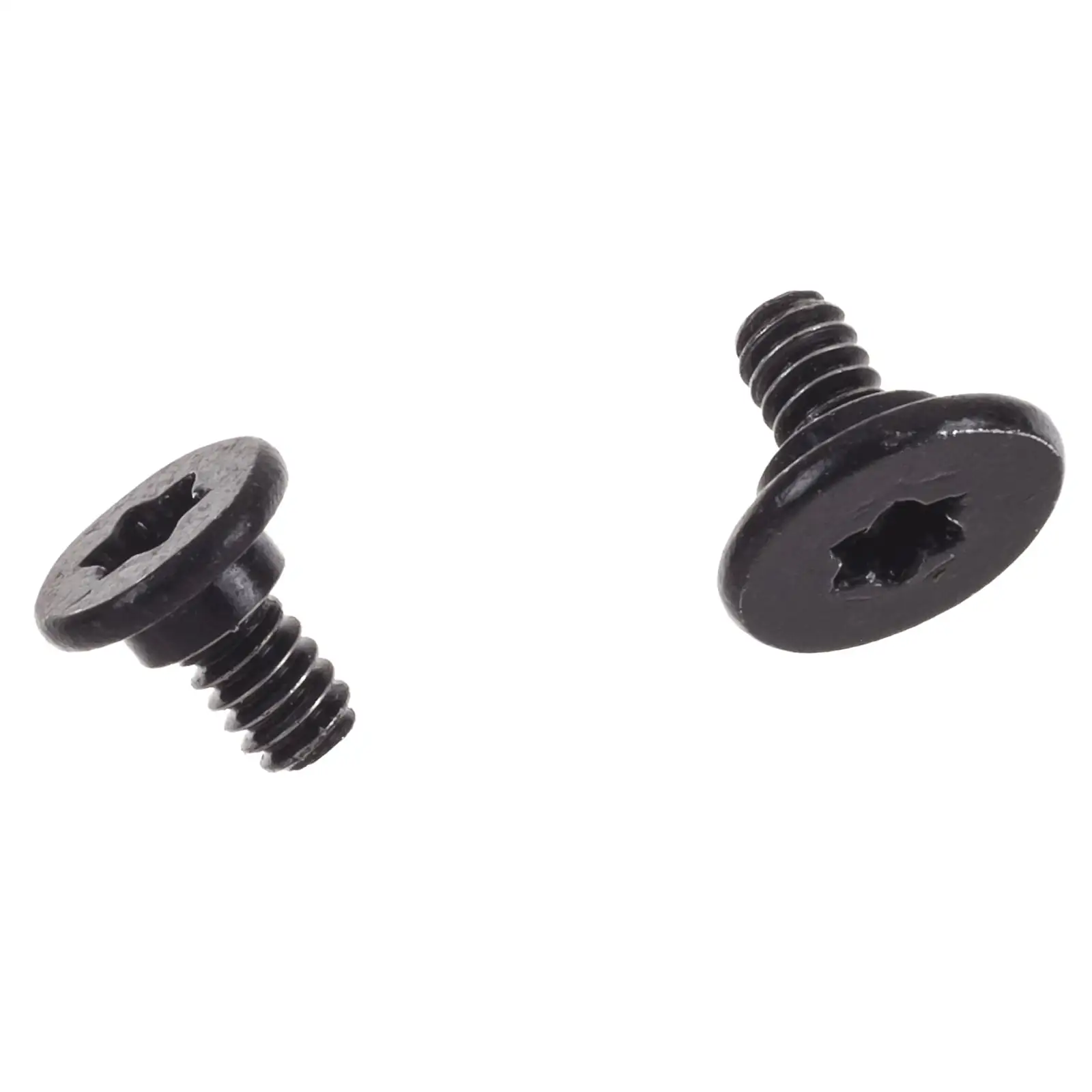 Speaker Screws (Torx T6, 2pc)