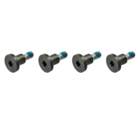 CPU Retention Bracket Screws