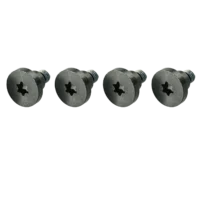 Graphics Board Retention Bracket Screws