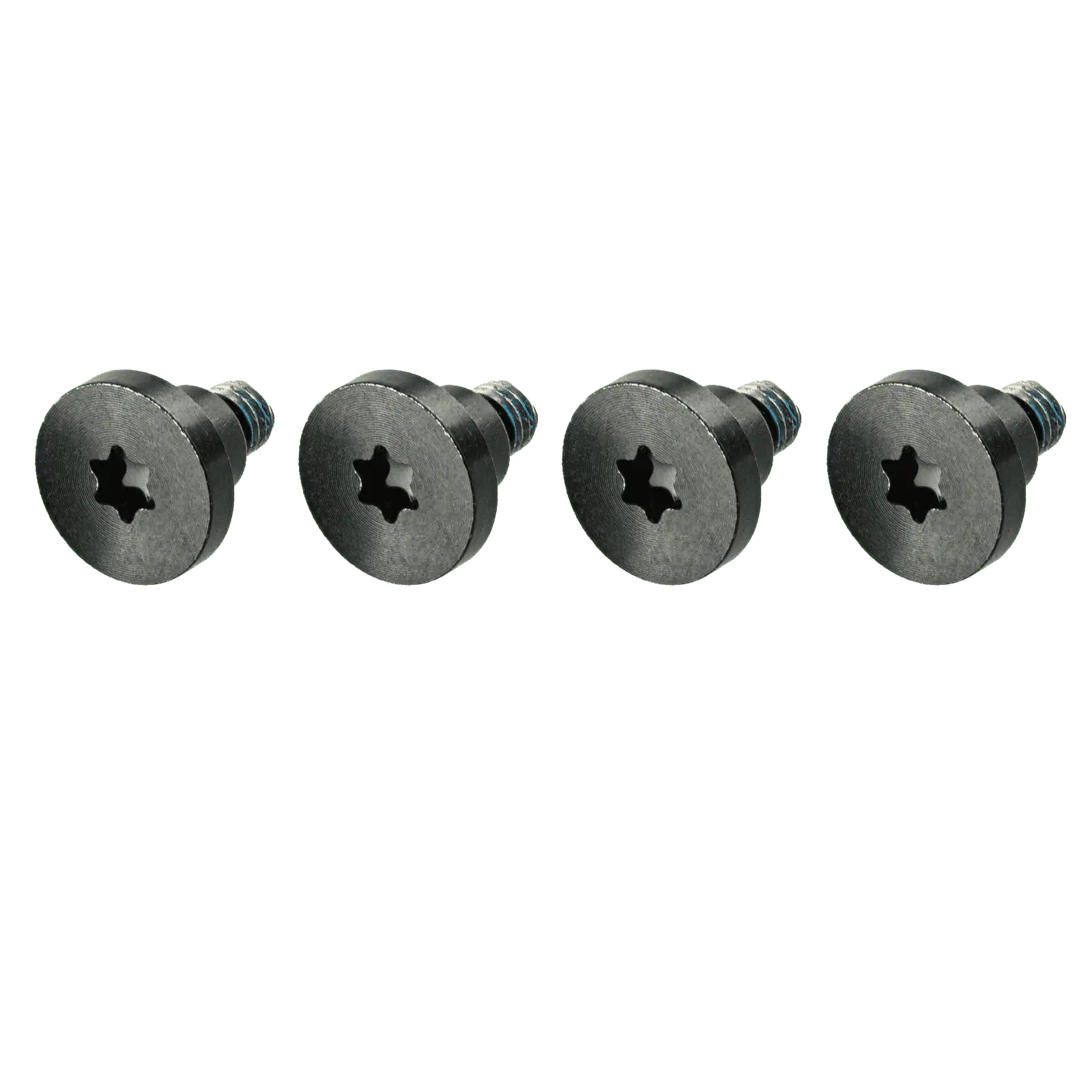 Graphics Board Retention Bracket Screws (Torx T10)