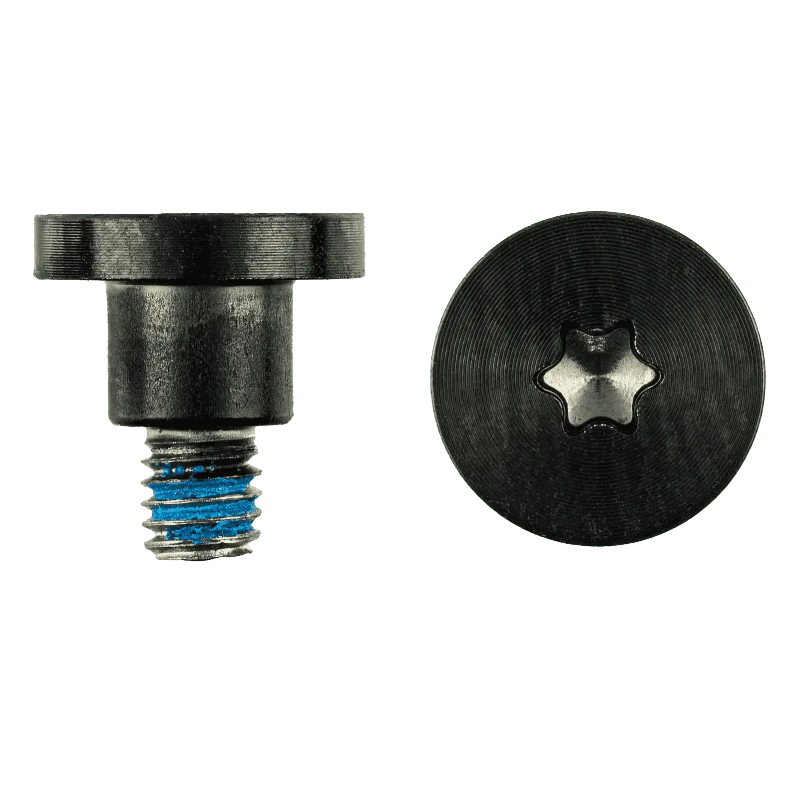 Graphics Board Retention Bracket Screws (Torx T10)