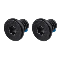 Bluetooth Antenna Screws