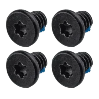 Speaker Screws