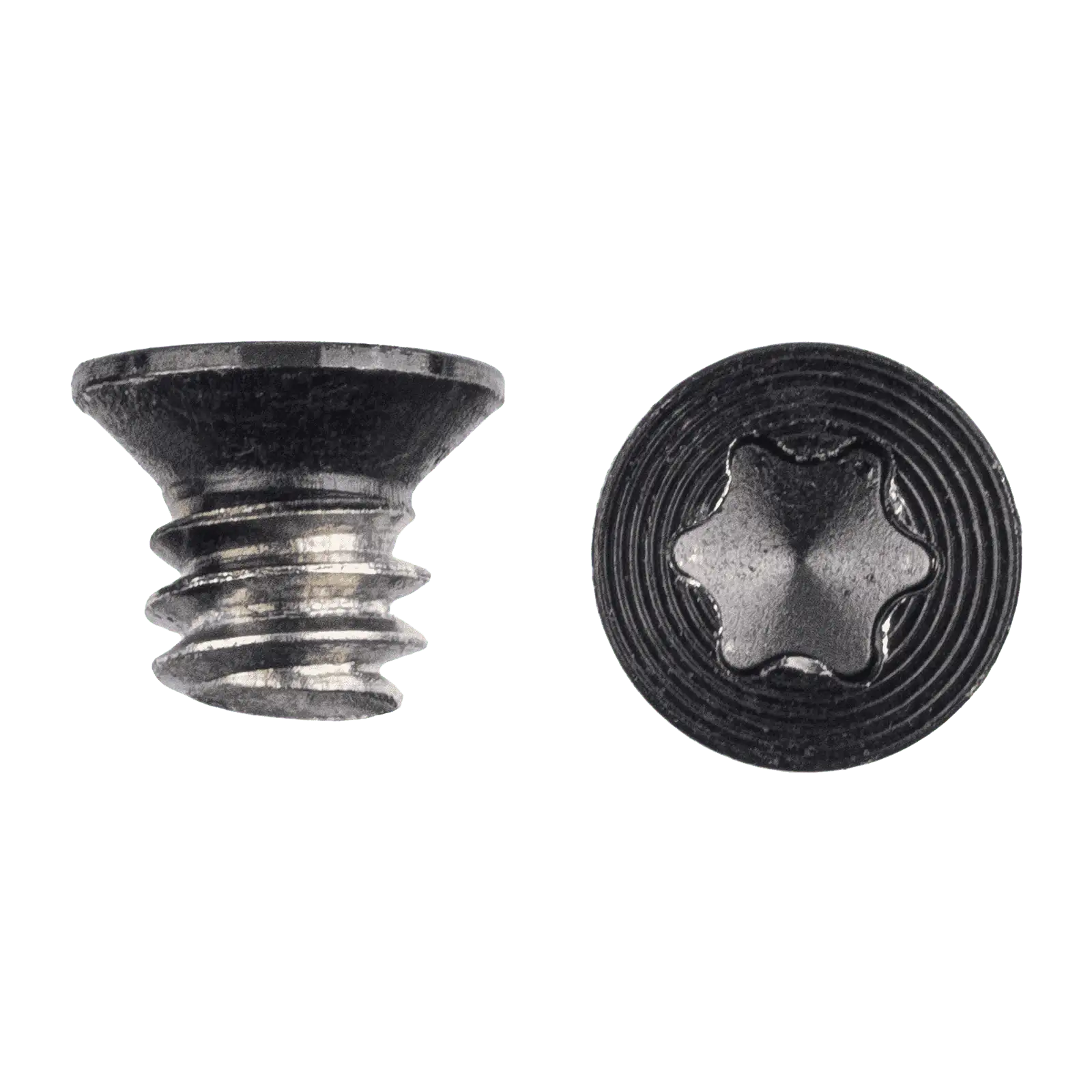 Housing Lock Switch Screws (Torx T5)