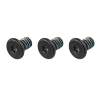 Exhaust Manifold / Interposer / Audio Jack / WiFi Antenna Screws (Torx T5)