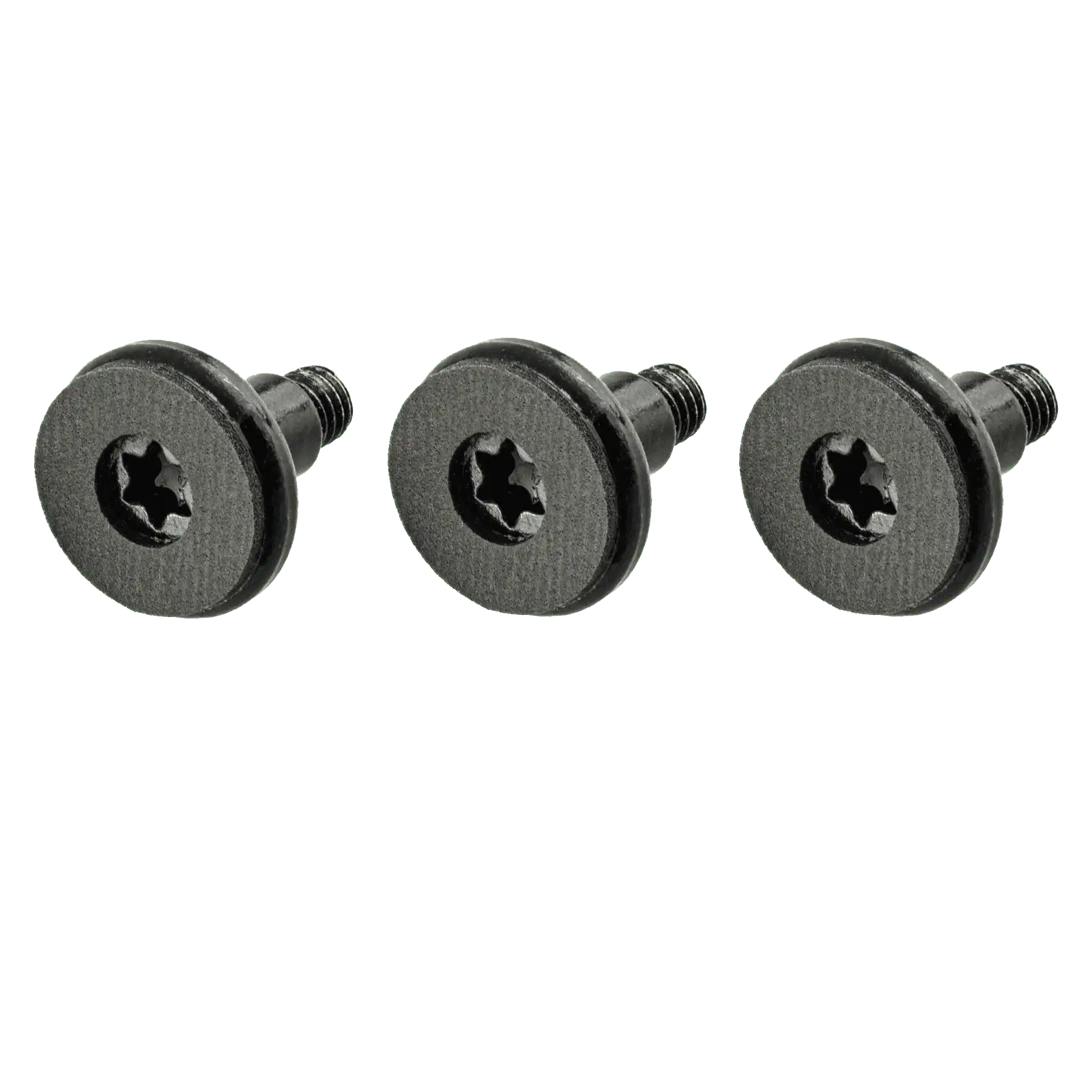 Fan Screws (Torx T10)