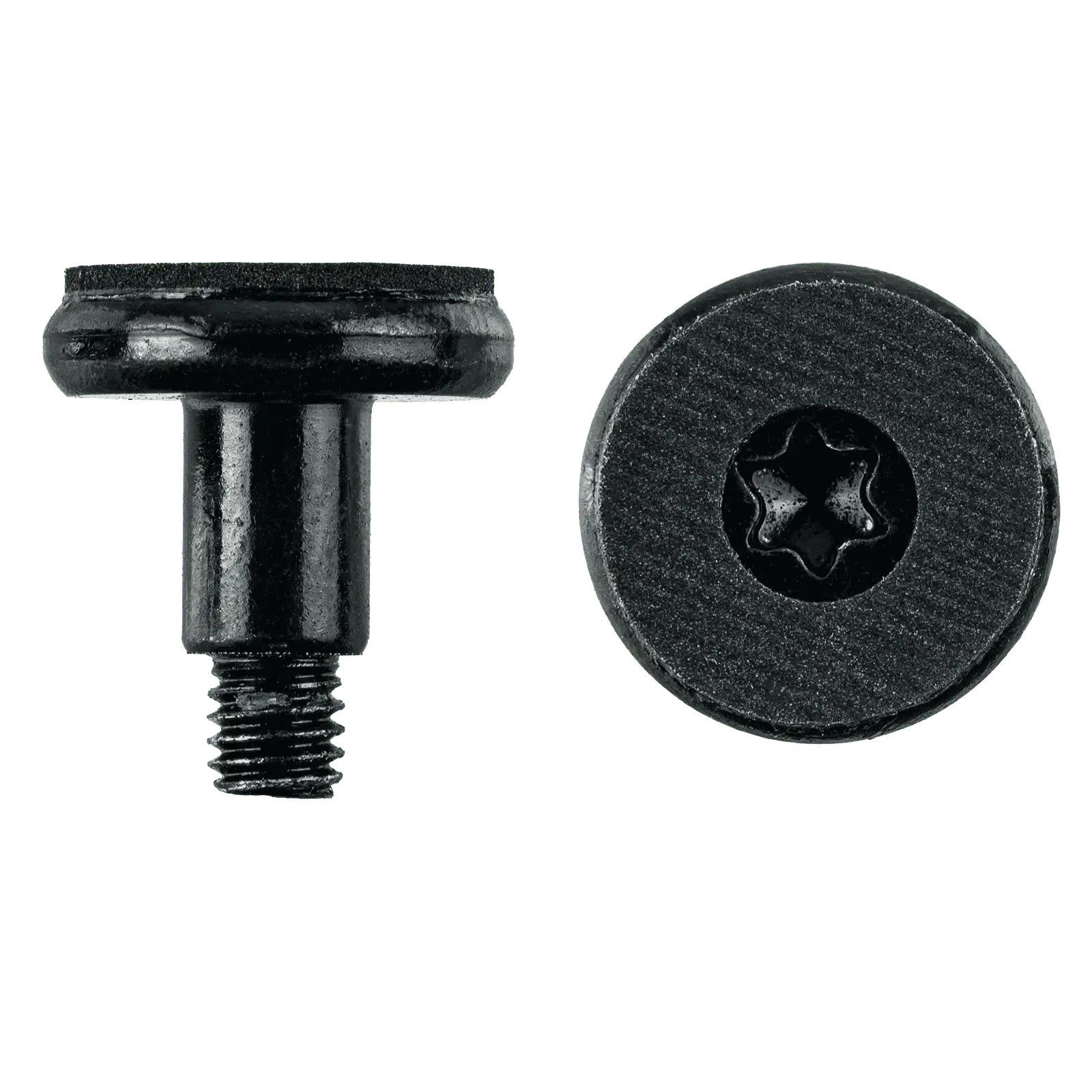 Fan Screws (Torx T10)