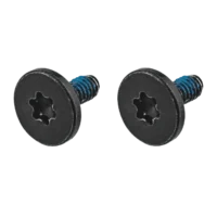 Logic Board Screws