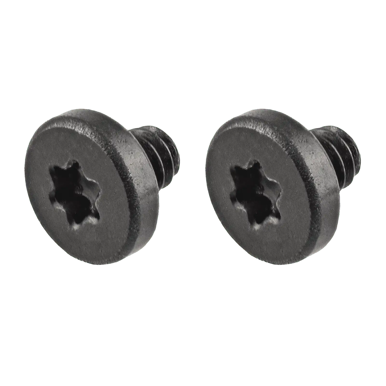 AirPort Card Screws (Torx T5)