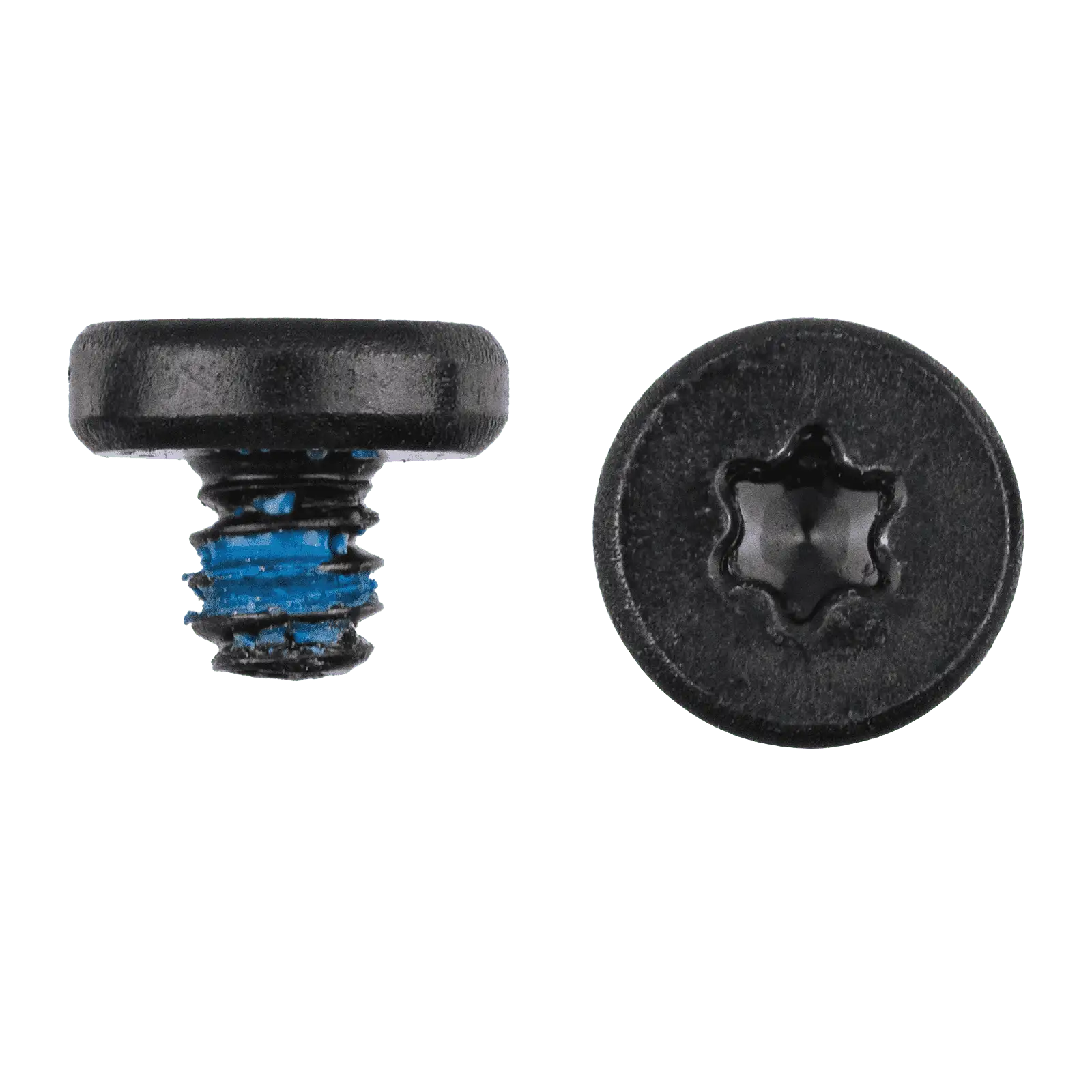 AirPort Card Screws (Torx T5)