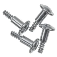 Subwoofer Screws