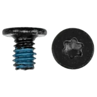 Fan Screws (Torx T6)