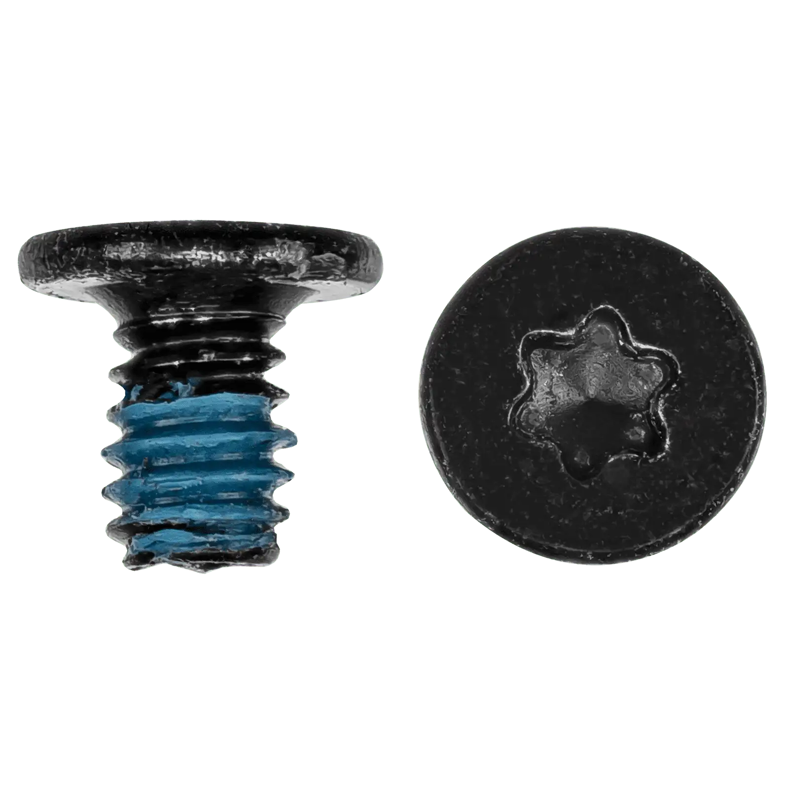 Fan Screws (Torx T6)