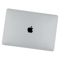 LCD Display Assembly, Silver
