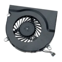 Fan, Right