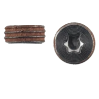 Trackpad Adjustment Screw