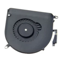 Fan, Right