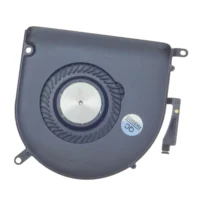 Fan, Right