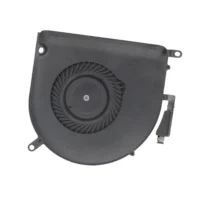 Fan, Right