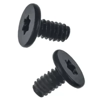 MagSafe Board Screws