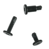 Speaker Screws