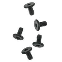 Logic Board Screws