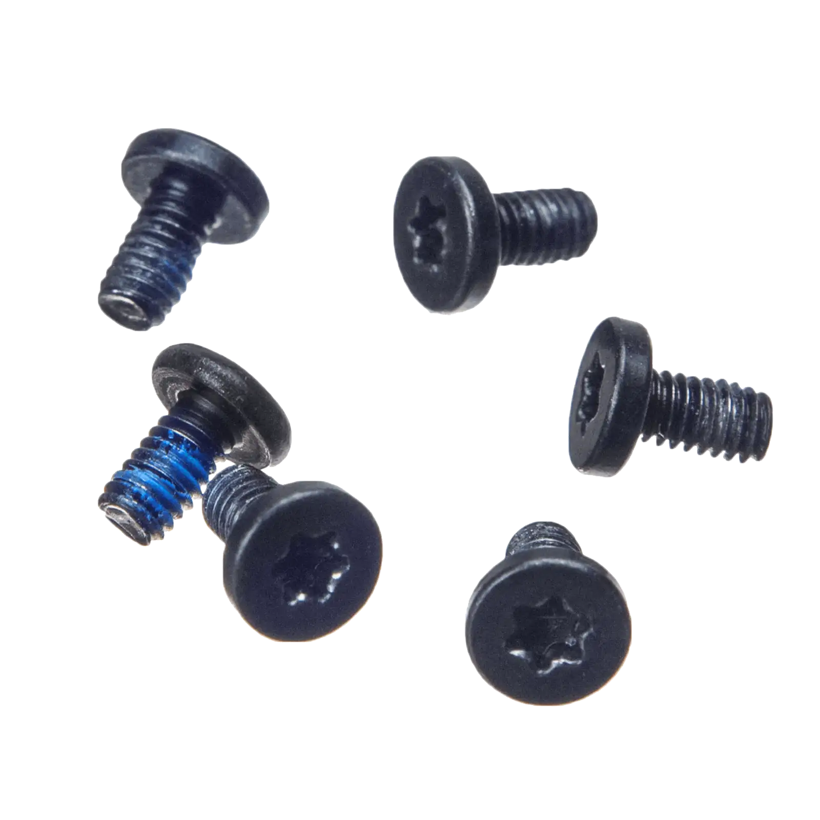 Hinge Screws (Torx T8)