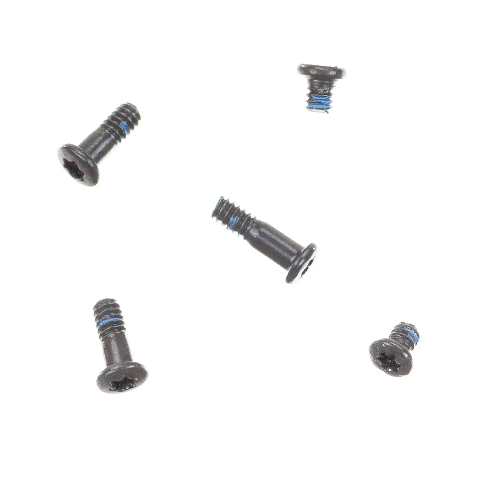Battery Screws (Torx T5)