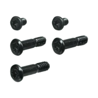 Battery Screws