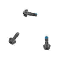 Battery Screws (3pcs)