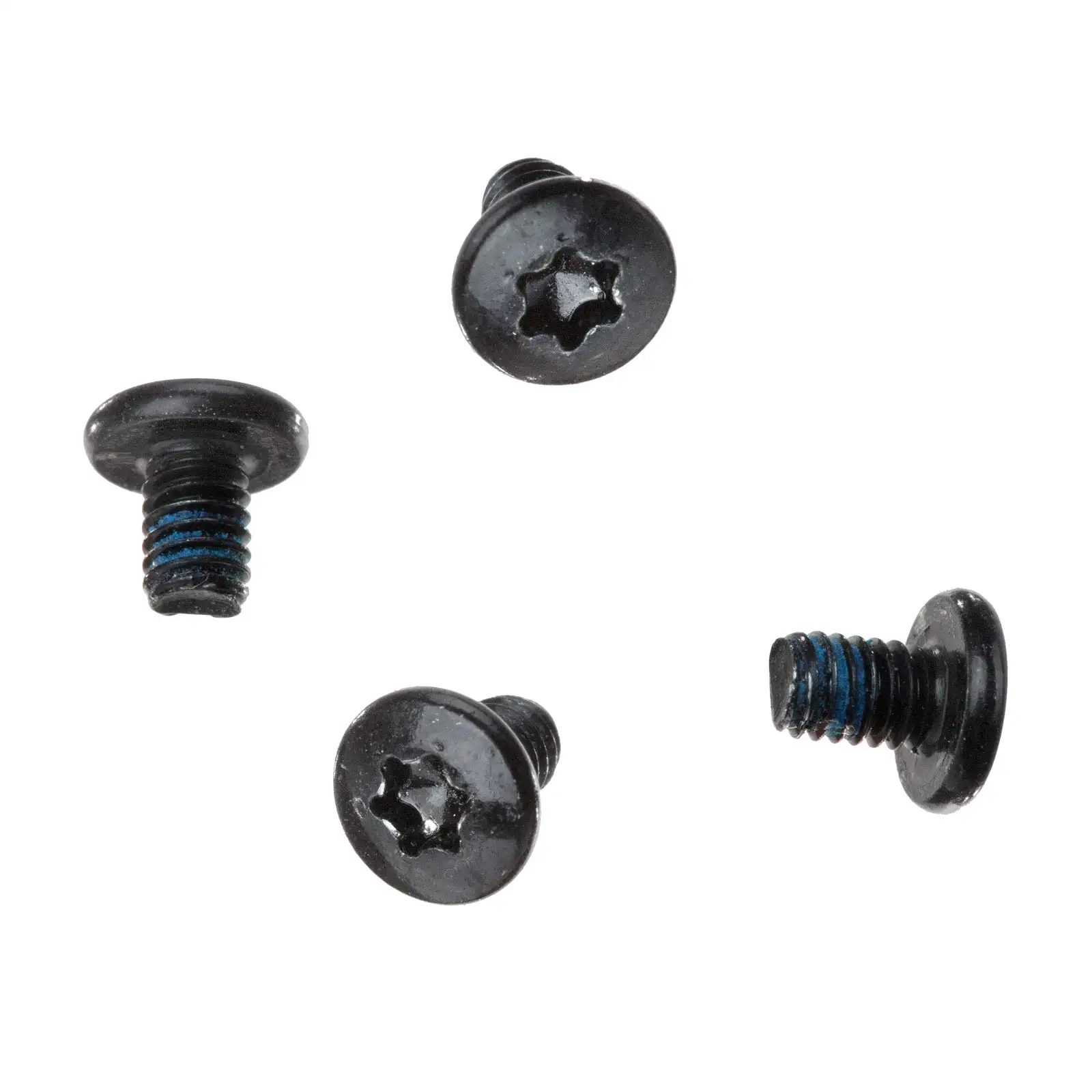 Hinge Screws (Torx T8)