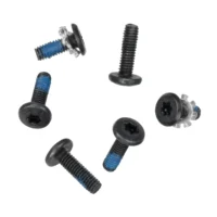Display Hinge Clutch Screws