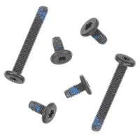 Logic Board Screws