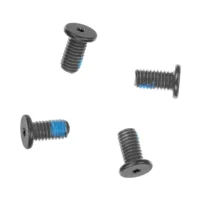 Memory Door Lock Mechanism Screws