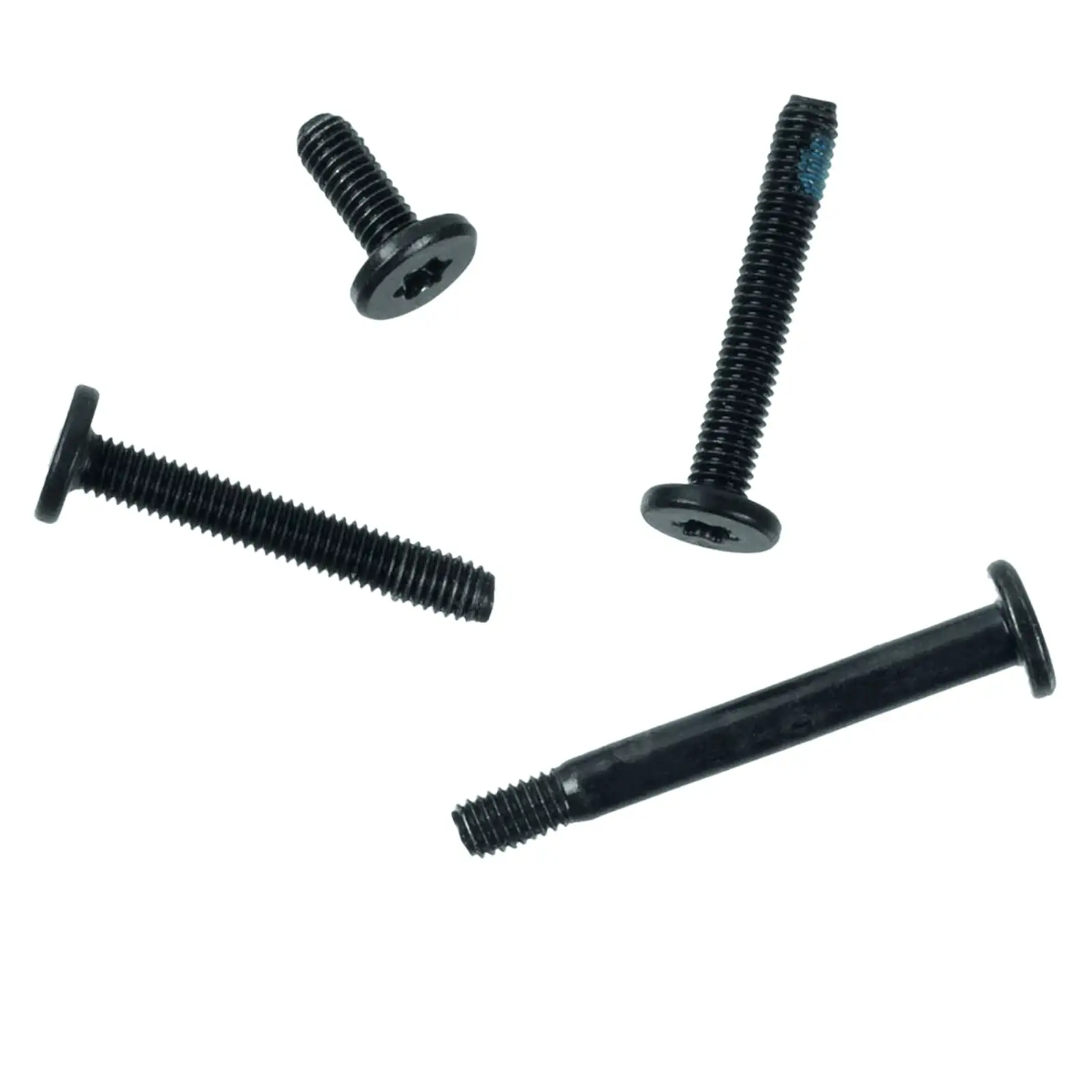 Hard Drive Screws (Torx T10)