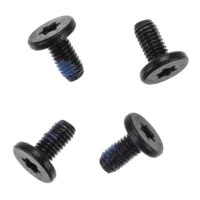 Logic Board Screws