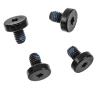Hinge/VESA Mechanism Screws