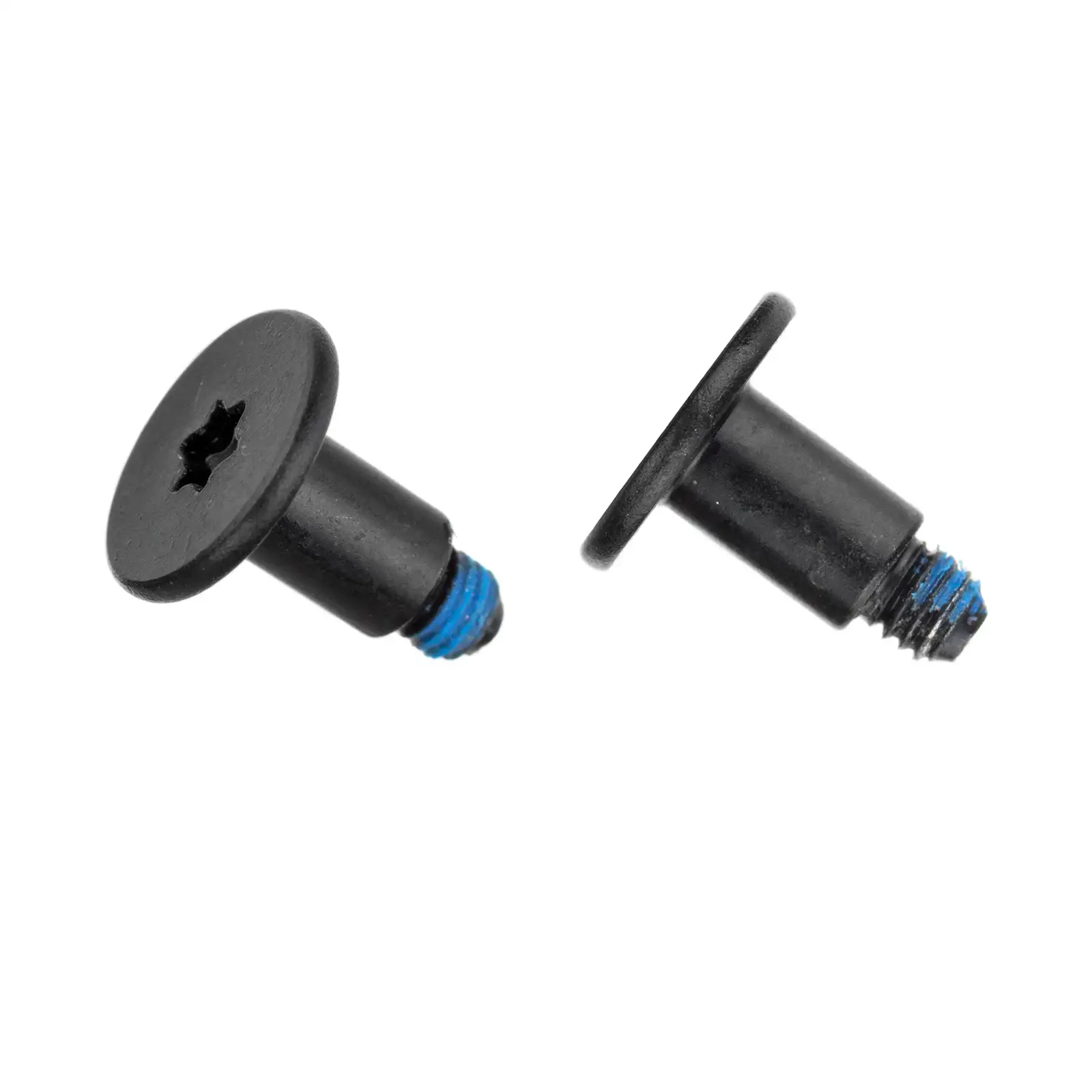 Speaker Screws (Torx T10)